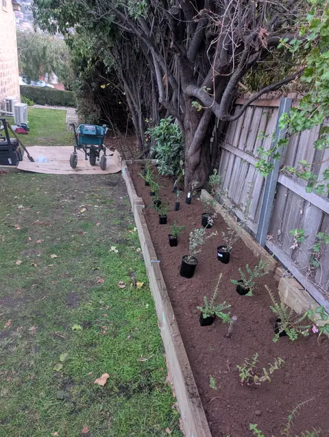 Edged planted garden project image 3